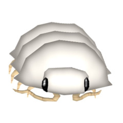 long n crunchy like a centipede