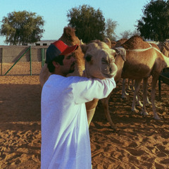 Alnuaimi mashup x camels edition 🐪