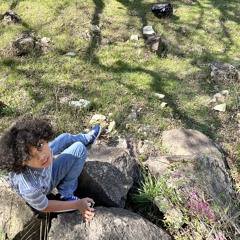 Sensory deprivation vibes off psychedelics