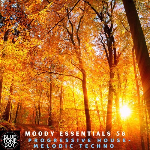 Moody Essentials 58 ~ #ProgressiveHouse #MelodicTechno Mix