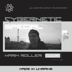 Cybernetic Special ___4 by Warm Roller