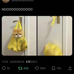 The Dream Shatterer - Big Pun    神風特別攻撃REMIX