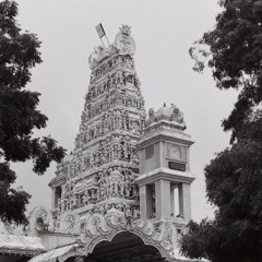 Ceremony in Nallur Kandaswamy temple- Jafna Sri Lanka 2023 #2