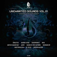 Aaron King - Calibrate [Soliq Records]