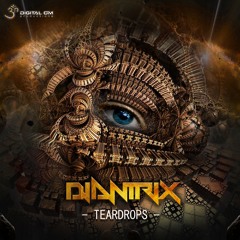 Insider (Djantrix Remix)