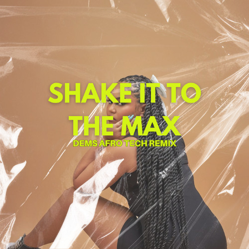 MOLIY - Shake It To The Max [DEMS Afro Tech Remix]