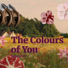 The_Colours_of_You