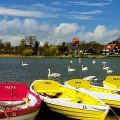Tchaikovsky - Swan Lake - Waltz
