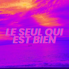 L.S.Q.E.B (Le seul qui est bien)
