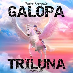 Pedro Sampaio, Everton Santos - Galopa (Triluna  Mash UP)FREE DOWNLOAD