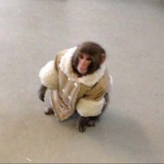 FASHION (GLOSA x ELI x TCTHEGXD) PRODUCED BY SIRFAZO