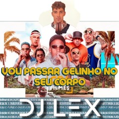 Mc Luuky - Vou Passar Gelinho No Seu Corpo - Dj Lex (desacato)