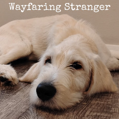 Wayfaring Stranger