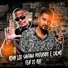 REMIX POSTURADO E CALMO -- LEO SANTANA FEAT DJ RUD