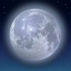 Walking On The Moon - Ruelle