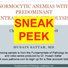 (WORK IN PROGRESS) Pathoma - RBC Disorders Hard Techno Flip (feat. Husain Sattar, MD)