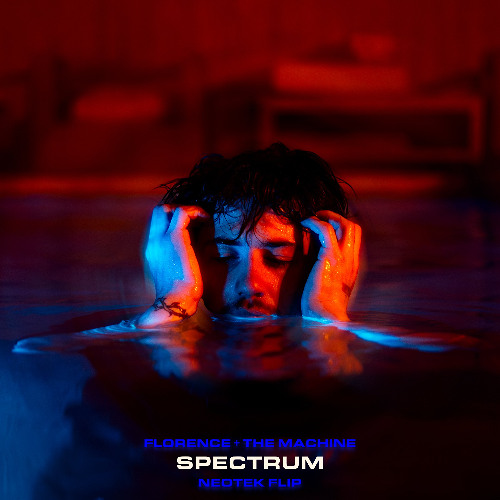 Florence & The Machine - Spectrum (Neotek Flip)
