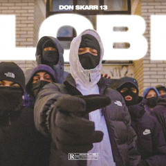 Don Skarr 13 - Lobi
