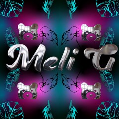 Just Having Fun - Meli G Tech House Mix