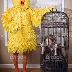 The Here We Go Chronicles