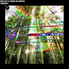 NVR 4GT U (trees up north)