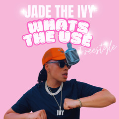 WHATS THE USE FREESTYLE