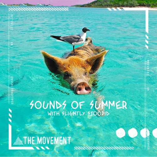 Sounds Of Summer (ft. Slightly Stoopid)