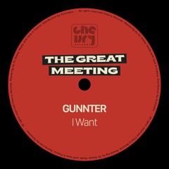 PREMIERE: Gunnter - I Want