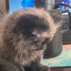 иначе (prod.syndrom)