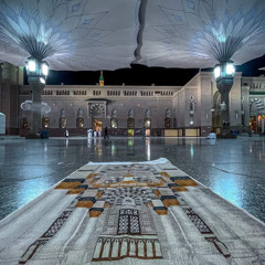 وَقَالُوا لِجُلُودِهِمْ لِمَ شَهِدتُّمْ عَلَيْنَا | سمير عزت