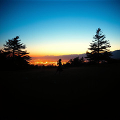 Why should all of us live in a town