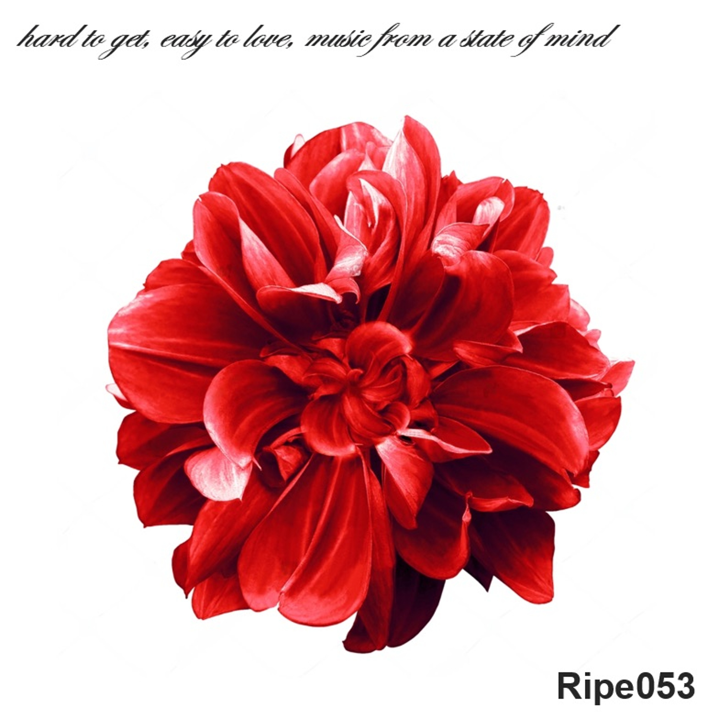 Ripe2000