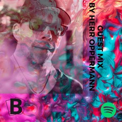 Beach Podcast Guest Mix by Herr Oppermann