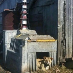 Мне 20 Х 2027 - просто Лера & REMINI