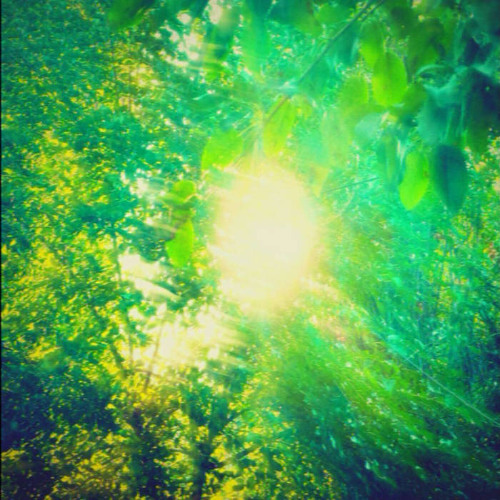 Zecidkhür - No strength to stop