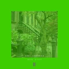 Premiere: Ant LaRock "Bed Stuy" - Brobot