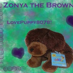 My WeBKiNz Song!!! 4 zonya the b rown Dog