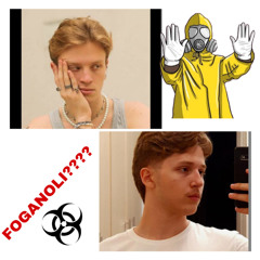 FOGANOLLI
