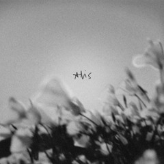 ANIS