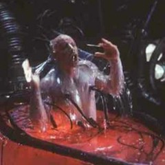 week 1: "do you see me?"