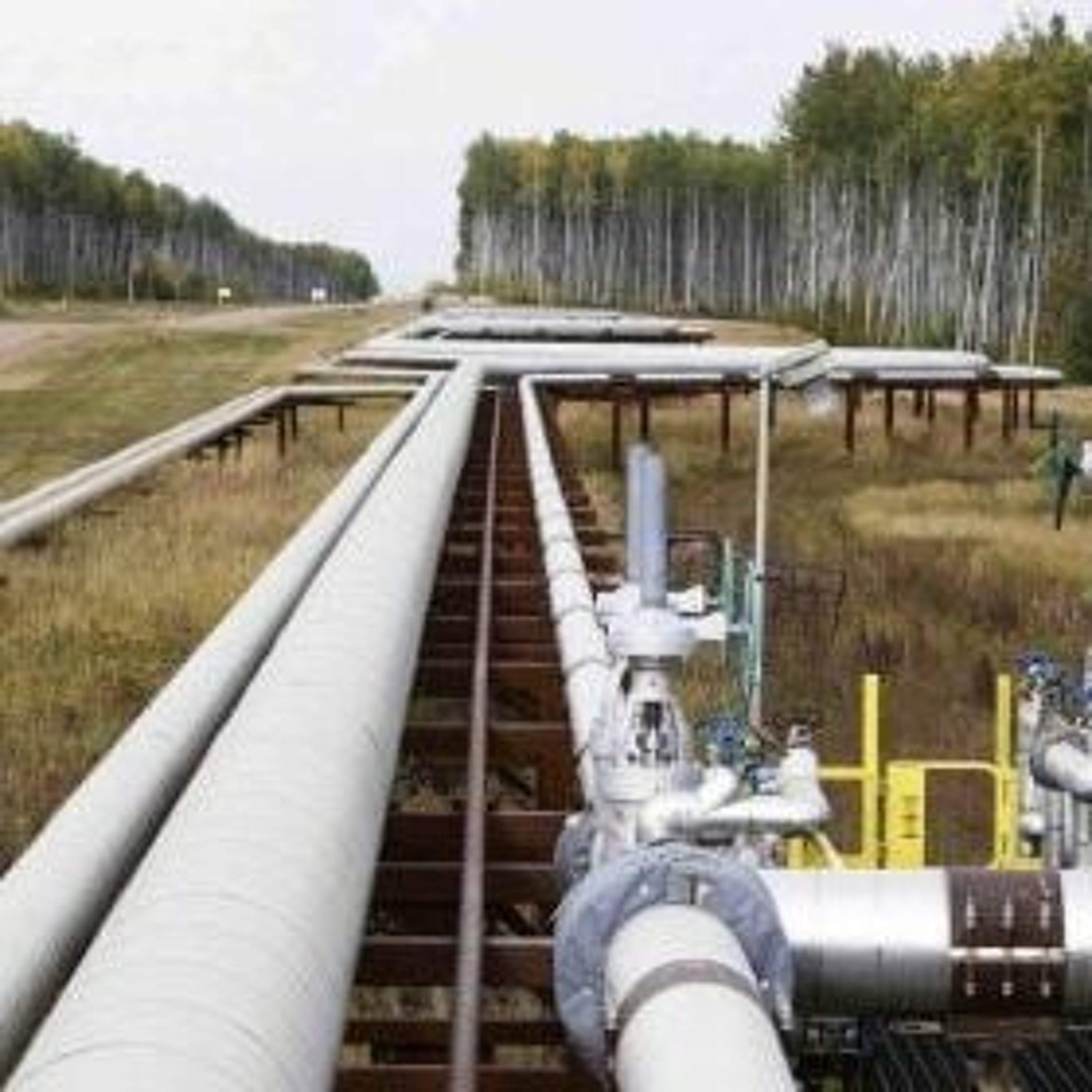 Suddenly, Peak Oil and Gas! The Cataclysmic Result of Sanctions against Russia episode artwork