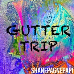 GUTTER TRIP