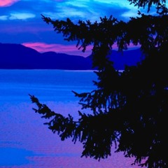 Little Liquid Lesson