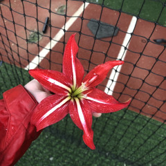 'Tega'/ VoxnoG more room nonsense