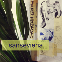 sansevieria (lost demos)