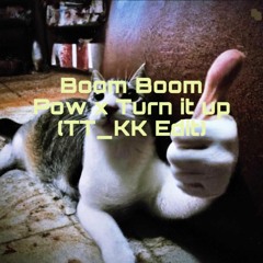 The Black Eyed Peas x TV Noise - Boom Boom Pow X Turn It Up (TT_KK Edit)