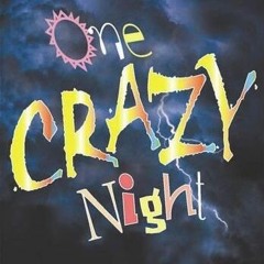 One Crazy Night