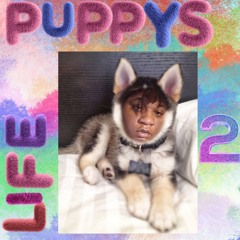 Young Icon Freestyle