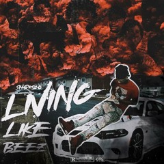 Sharksco - We da ones (feat. Skoopsco & Litkorey)
