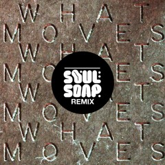 LA Priest - What Moves (Soulsoap Remix)